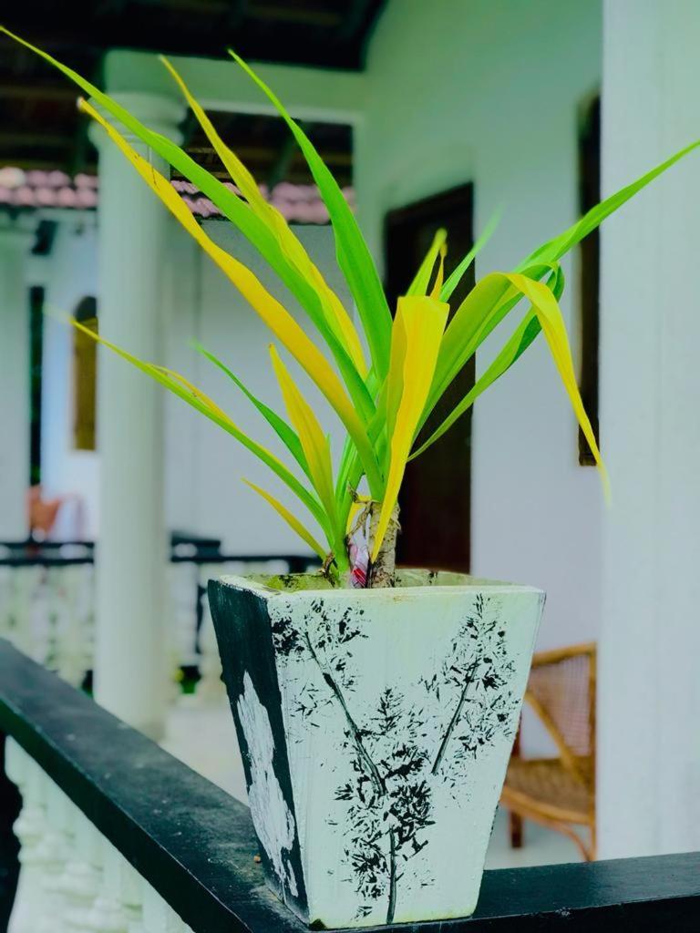 Hotel Freedom192 Weligama Zimmer foto